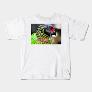 Lorikeet art Kids T-Shirt